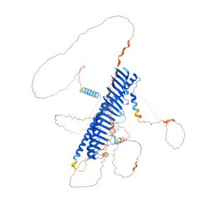 JPH1 Gene .